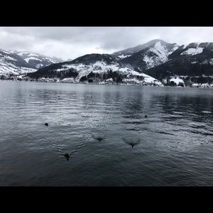 Meet your Posher, Barbara